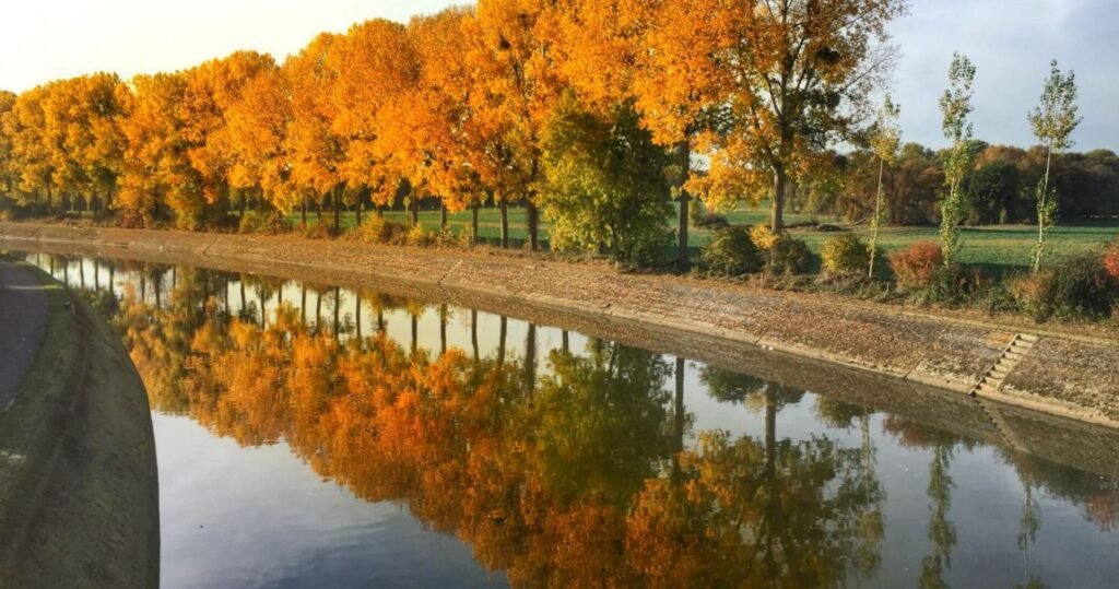 automne 1 floreffe