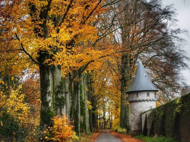 automne 4 maredret