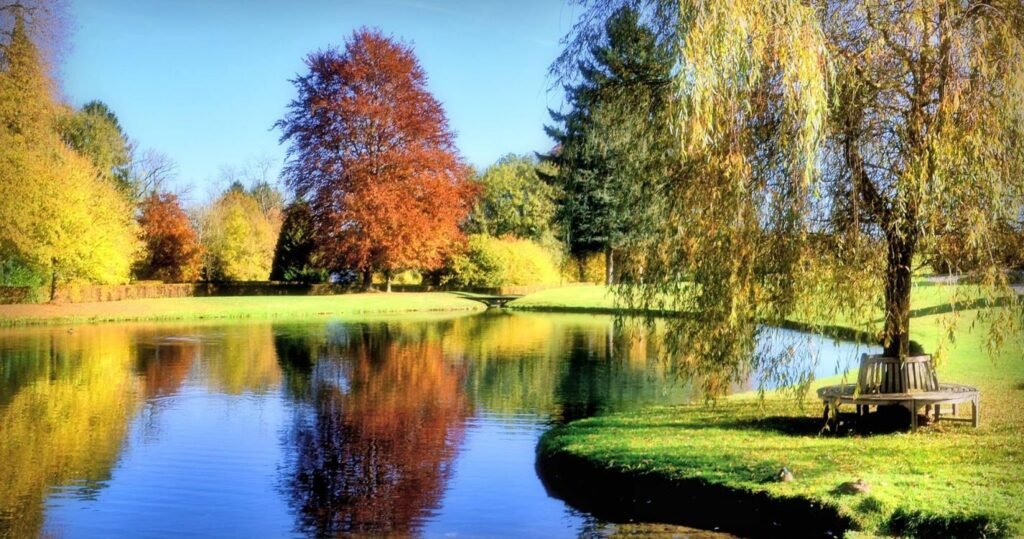 automne 6 annevoie